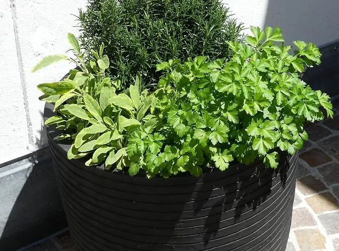 Laagers Garni Samedan