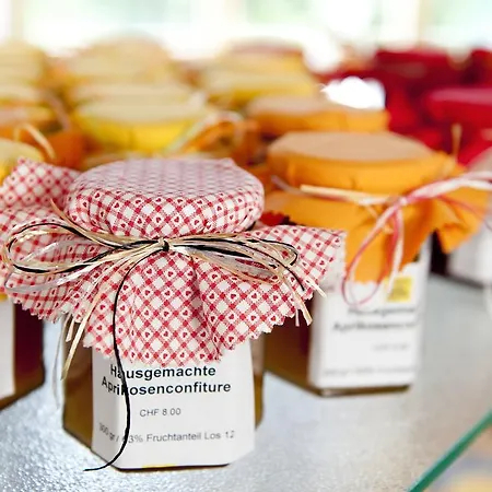 Ξενοδοχείο Laagers Garni Samedan