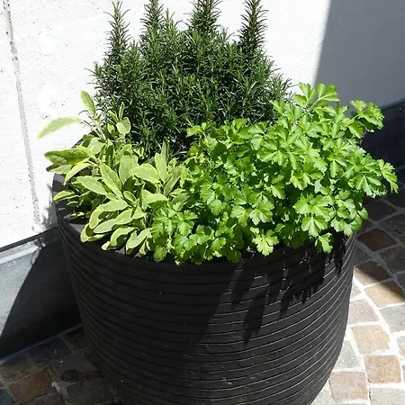 Laagers Garni Samedan